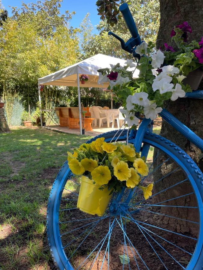 Appartamento In Villa Con Giardino Vicino Al Mare Bella Farnia 外观 照片