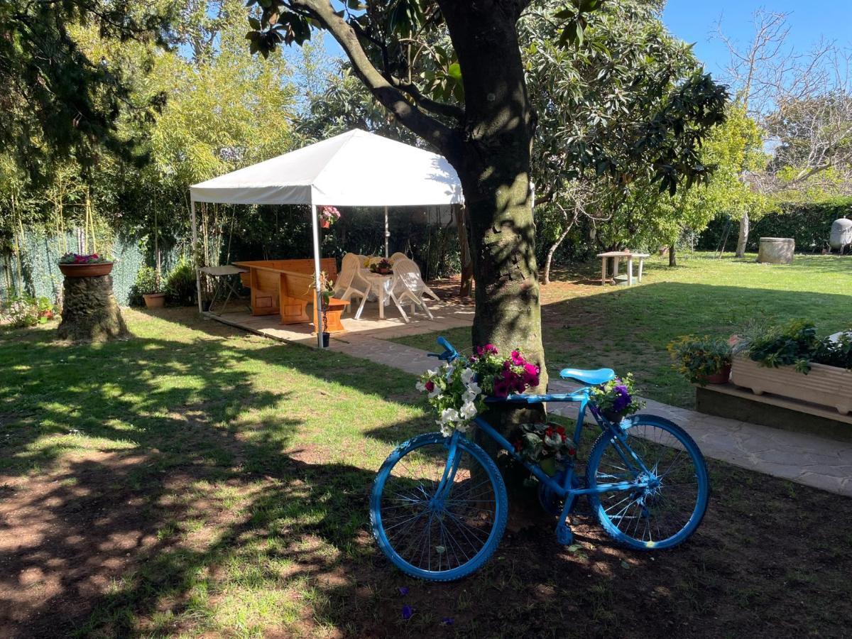 Appartamento In Villa Con Giardino Vicino Al Mare Bella Farnia 外观 照片