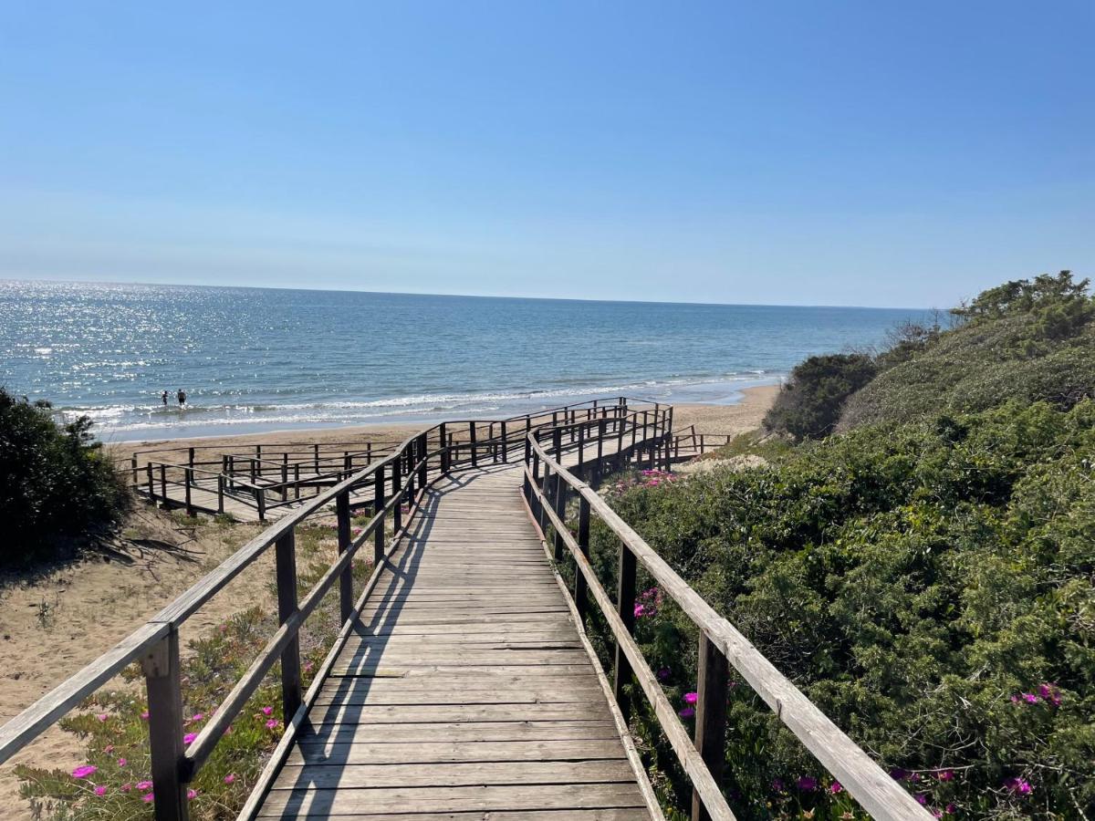 Appartamento In Villa Con Giardino Vicino Al Mare Bella Farnia 外观 照片